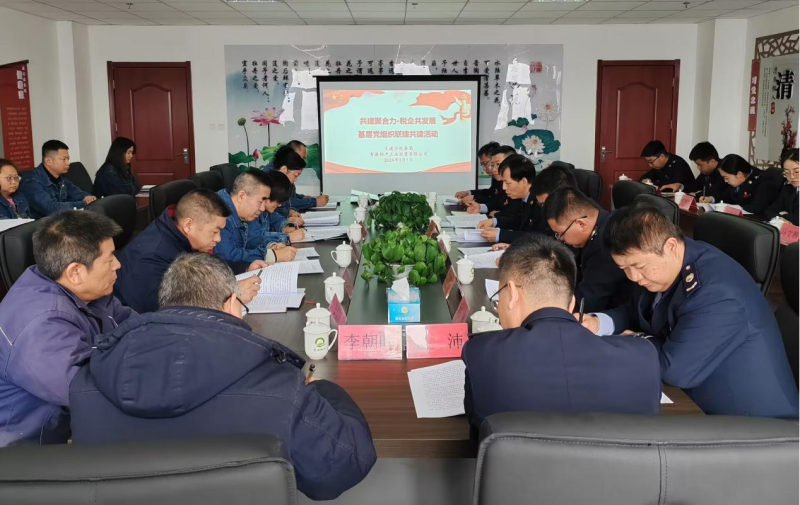 共建聚合力 稅企共發展&mdash;&mdash;工投公司舉辦基層黨組織聯建共建活動